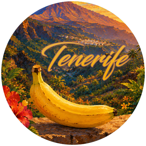 Teide Valley-image